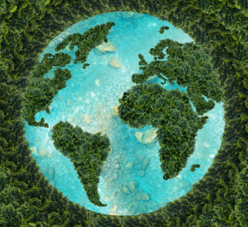 Recycled & Sustainable