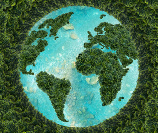 Recycled & Sustainable