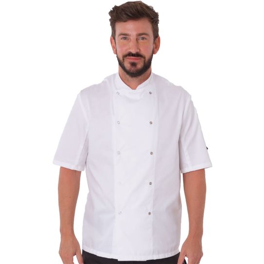 Chef jacket white short sleeve store