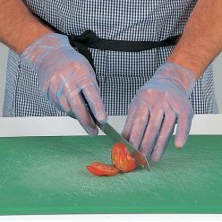 Dennys Vinyl Disposable Gloves (Pack of 100)