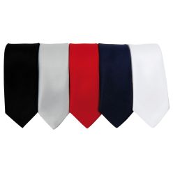 Premier Slim Coloured Ties