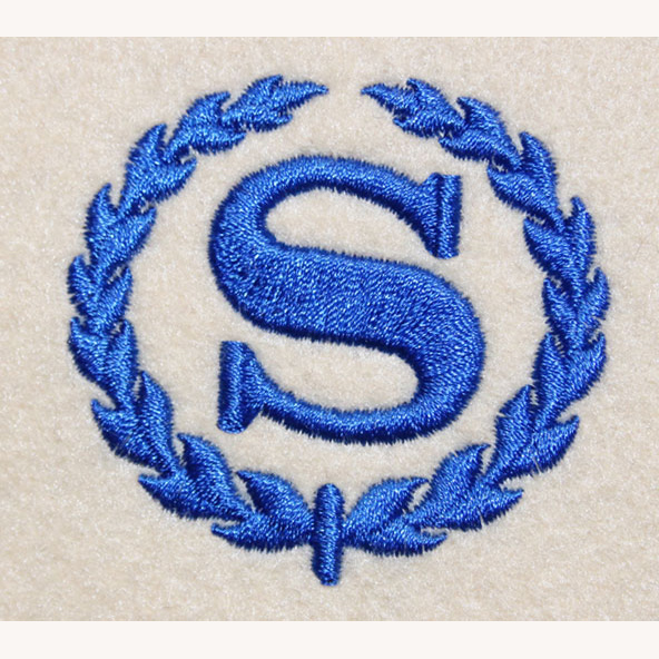 S Logo