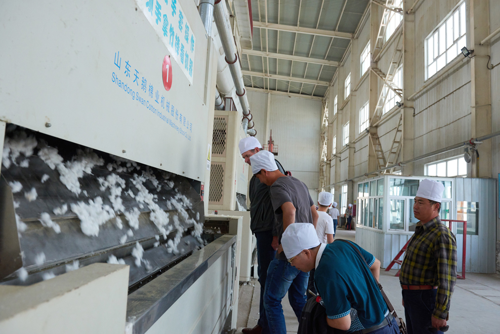 Cotton Ginning