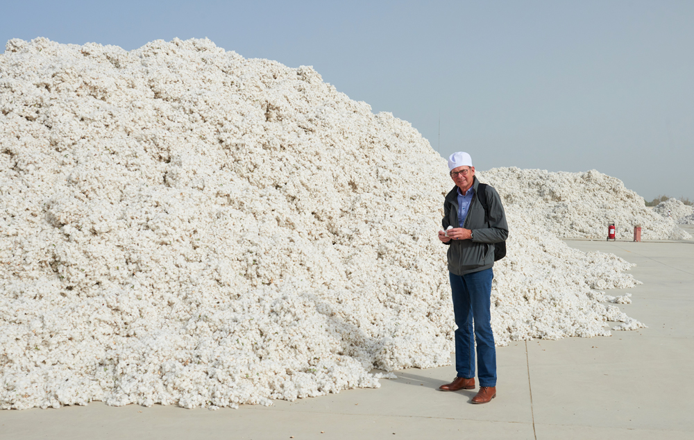 Raw seed cotton just delivered from the fields